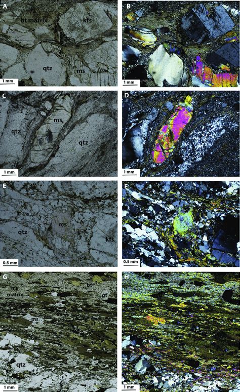 Plane Polarized Light And Crossed Polar Photomicrographs Of Typical