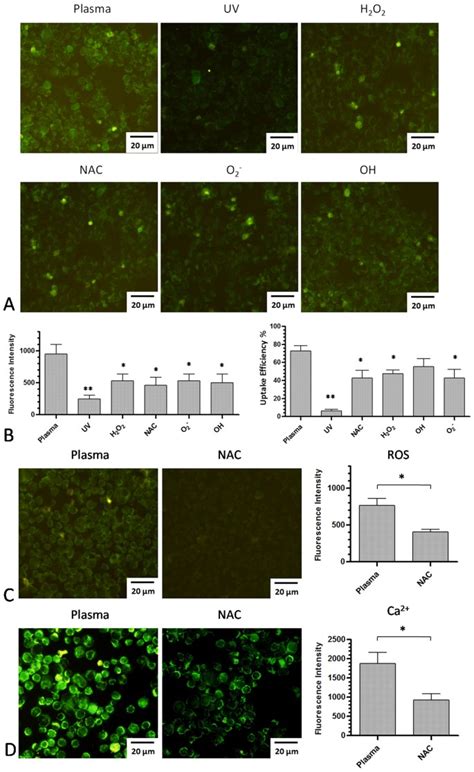 Intracellular Ros Mediates Gas Plasma Facilitated Cellular Transfection