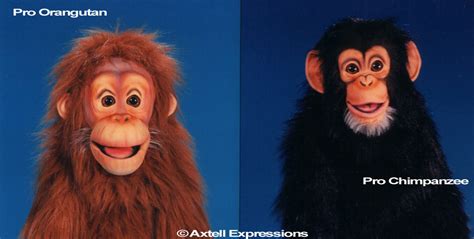 Ape Puppets Axtell Expressions