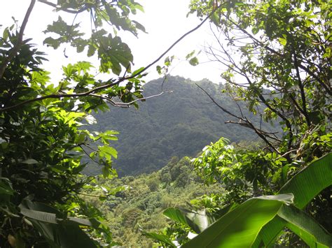 Waterfalls in Grenada – Run Away From Zombies