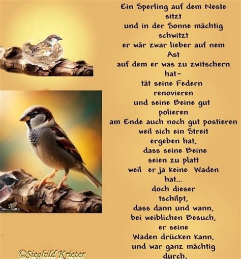 Gedicht Der Beweis Von Sieghild Krieter Humor Zum Schmunzeln Bei E