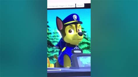 Paw Patrol Chase Sneezing Compilation Part 2 Youtube