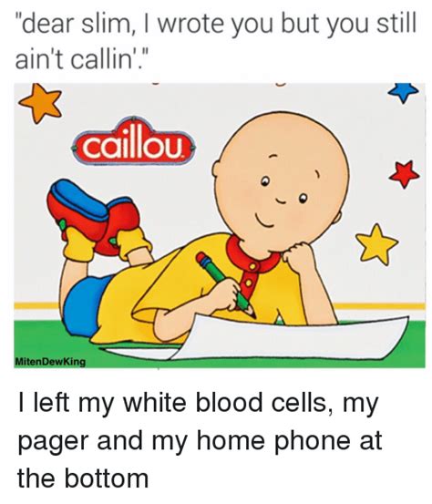 Funny Caillou Memes