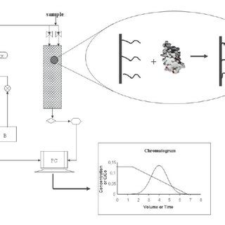 Schematic Representation Of The HIC Process The HIC Process Consists