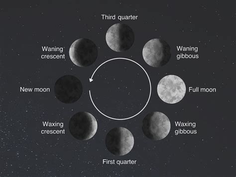 How Many Moon Phases Are There LunarSail