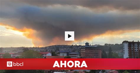 Declaran Alerta Roja Para Puerto Montt Por Incendio Forestal Se Ordenó