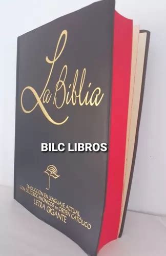 Biblia Reina Valera 1960 Letra Grande Y Concordancia Cuotas sin interés