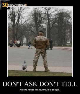 Phwl Of The Now Gay Jokes