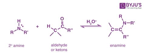 Imine Functional Group