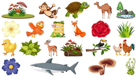 Conjunto De Plantas Y Animales Vector Premium