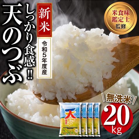 【新米 令和5年産】 【無洗米】 田村市産 天のつぶ20kg（5kg×4袋） ギフト 贅沢 のし対応 1週間以内発送 福島 田村 お米