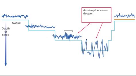 Stages of Sleep Diagram | Quizlet