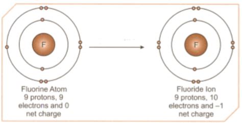 Diagrammatically How Will You Represent Fluoride Ion Formation