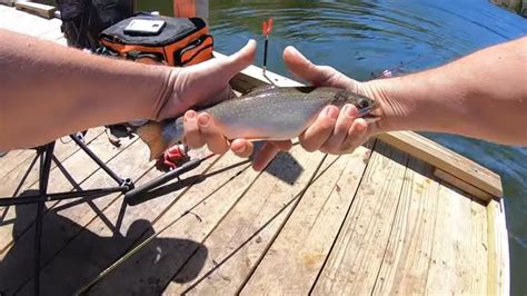 Maine Brook Trout Fishing Adventure Aroostook State Park Youtube