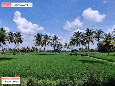 Acres Agricultural Land For Sale In Kanakapura Road Good Location And