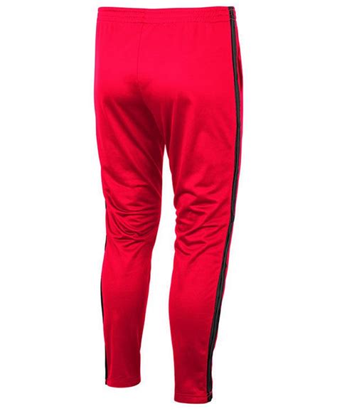 Colosseum Mens Louisville Cardinals Disco Track Pants Macys