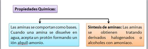 Propiedades Qu Micas De Las Aminas