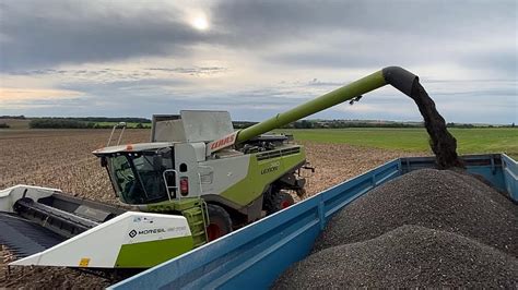 RÉCOLTE DE TOURNESOL 2021 CLAAS LEXION 740 MORESIL GB 700 PEL