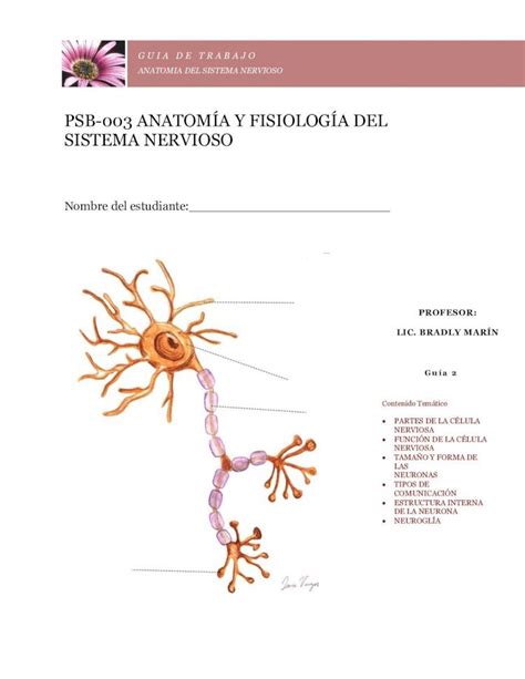 Pdf Psb Anatom A Y Fisiolog A Del Sistema Nervioso Pdf Filede