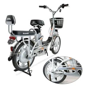 Hot High Quality E Bike China Manufacturer Customized 10ah Electric