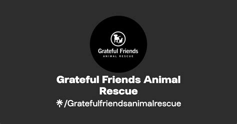 Grateful Friends Animal Rescue | Facebook | Linktree