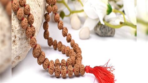 Rudraksha ৯০ ডিগ্রি ঘুরে যাবে জীবন ভাগ্য বদলে দিতে পারে রুদ্রাক্ষ