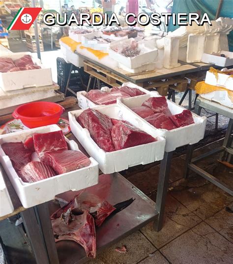 Pesce Avariato E Non Tracciato Sequestri Al Mercato Di Via Montalbo