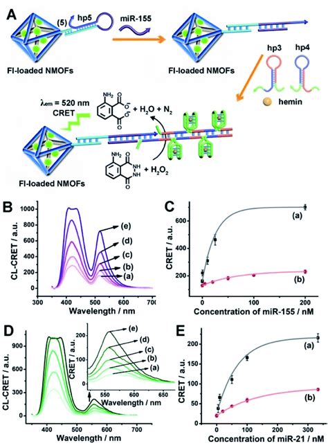 Multiplexed And Amplified Chemiluminescence Resonance Energy Transfer