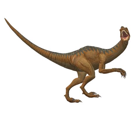 Dilophosaurus Dinosaur Isolated On A Transparent Background 24063837 Png