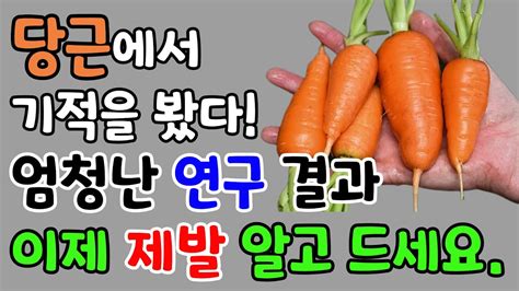 당근 이렇게 일주일만 먹어보세요 눈이 맑아지고 염증이 싹 사라집니다 Youtube