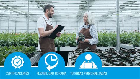 Gesti N De La Producci N De Plantas Y Tepes En Vivero