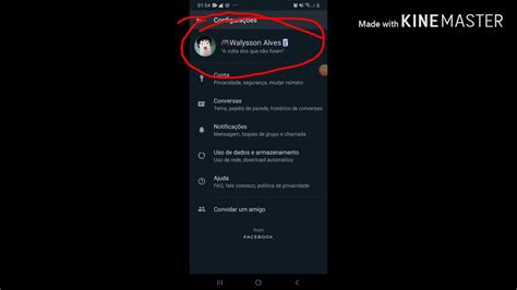 Tutorial Como Mudar Sua Foto De Perfil No Whatsapp Youtube
