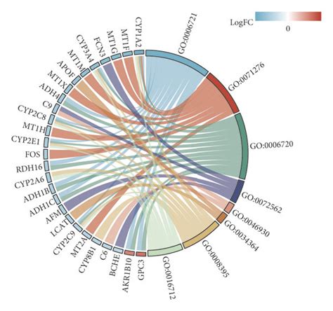 Go Pathway Enrichment Analyses Of Candidate Genes A Go Analysis