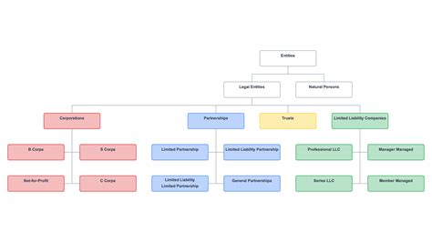 Hierarchy Chart Of Business Entity Types Hot Sex Picture