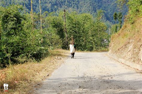 Itinerario de viaje desde Darjeeling al Sikkim Vístete que nos vamos