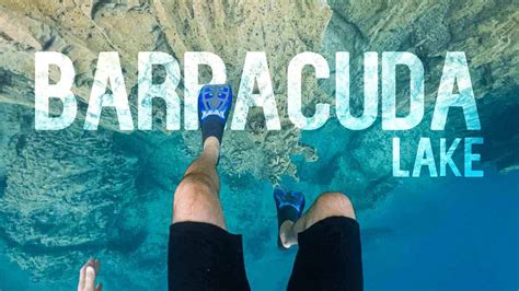 Barracuda Lake Coron Island | Everything You NEED To Know