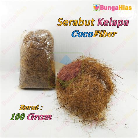 Jual Serabut Kelapa 100 Gram CocoFiber Media Tanam Bunga Anggrek Daun