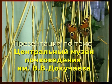 Центральный музей почвоведения им. В.В. Докучаева - презентация онлайн