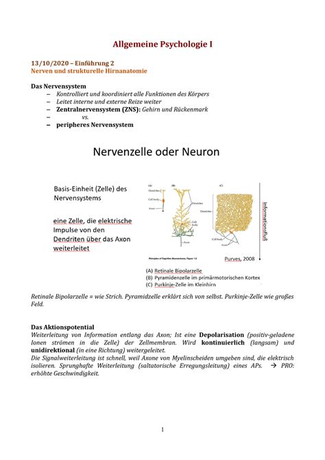 Einfuehrung Allgemeine Psychologie I