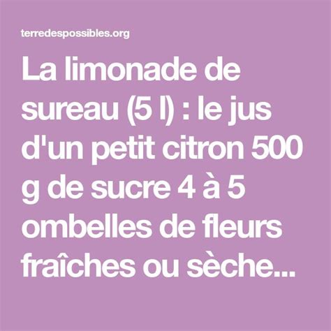 La Limonade De Sureau 5 L Le Jus D Un Petit Citron 500 G De Sucre 4