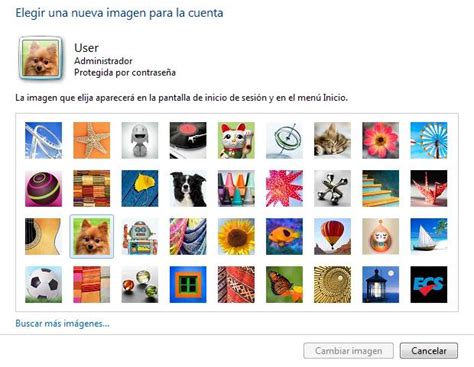 Windows 7 user profile pictures : r/FrutigerAero