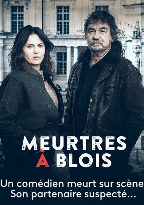 Regarder Meurtres à Blois en streaming complet