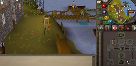 Osrs Minnows Fishing Guide Novammo