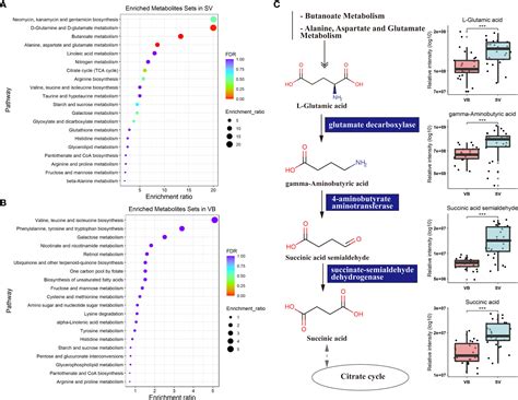 Frontiers Metabolomics Based Investigation Of Sars Cov Vaccination