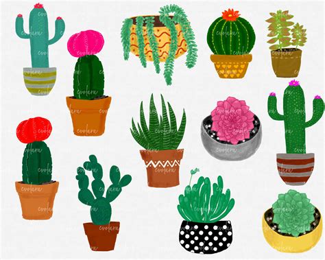 Boho Cactus Clipart Succulents Clipart Plant Clipart Cactus