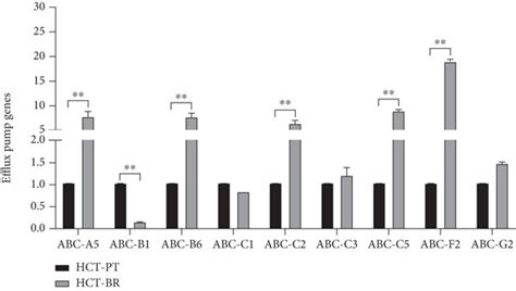 Relative Expression Of Drug Efflux Genes In Hct A And Pmf B Cells