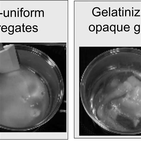 Images Showing The Time Evolution Of Starch Gelatinization From