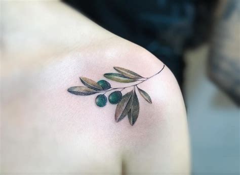 WHIPLASH TATTOO on Instagram: “a #beautiful #olive branch tattoo for ...