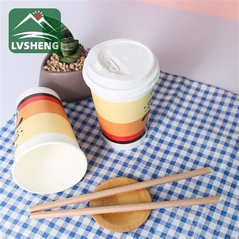 Manufacturer Biodegradable Custom Disposable Hot And Cold Drink Paper