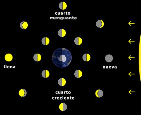 Observaci N Fases De La Luna